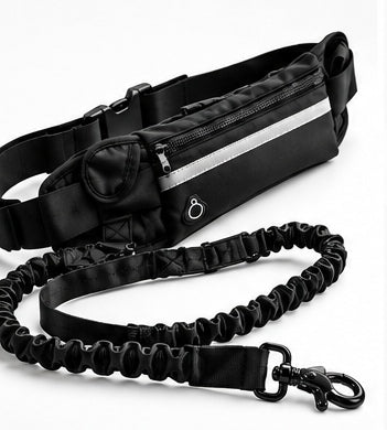 NightGuard Hands-Free Leash