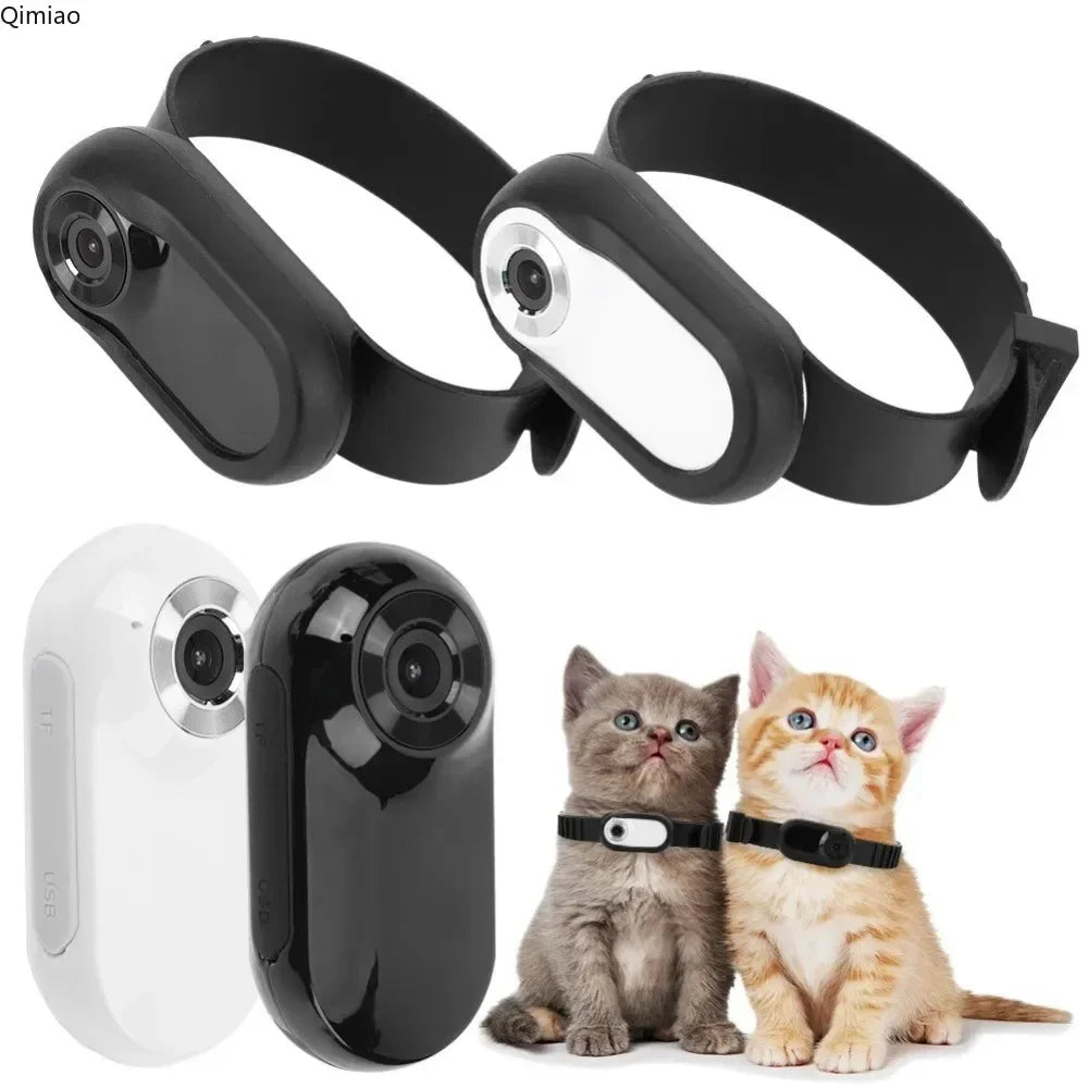 TrailCam — Collar Camera for Dogs & Cats
