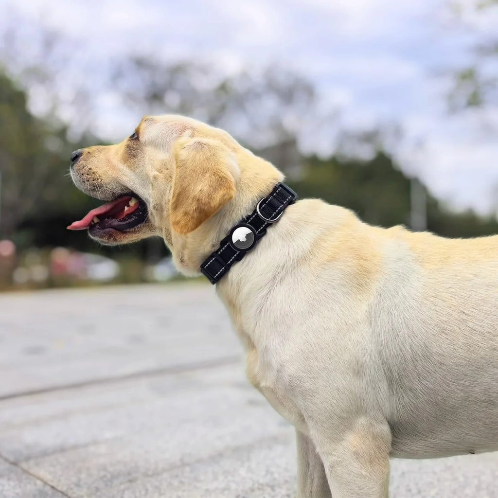 SafeTrack Reflective AirTag Dog Collar