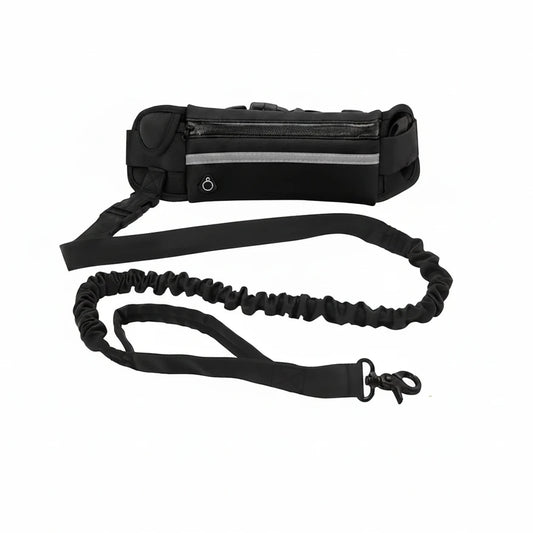 NightGuard Hands-Free Leash
