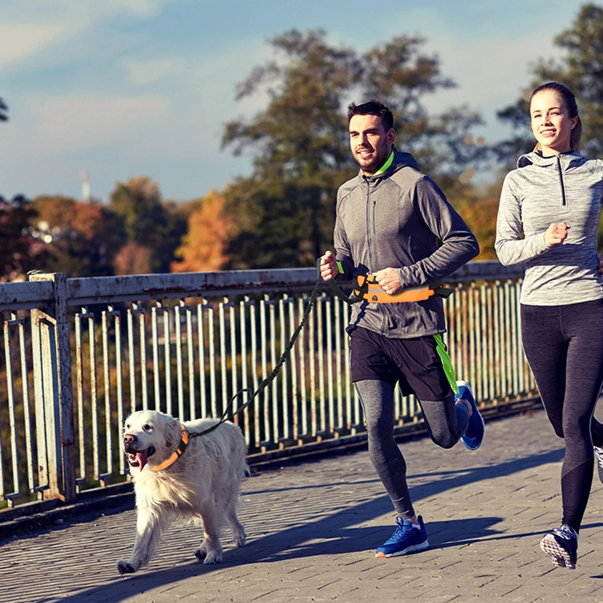 NightGuard Hands-Free Leash