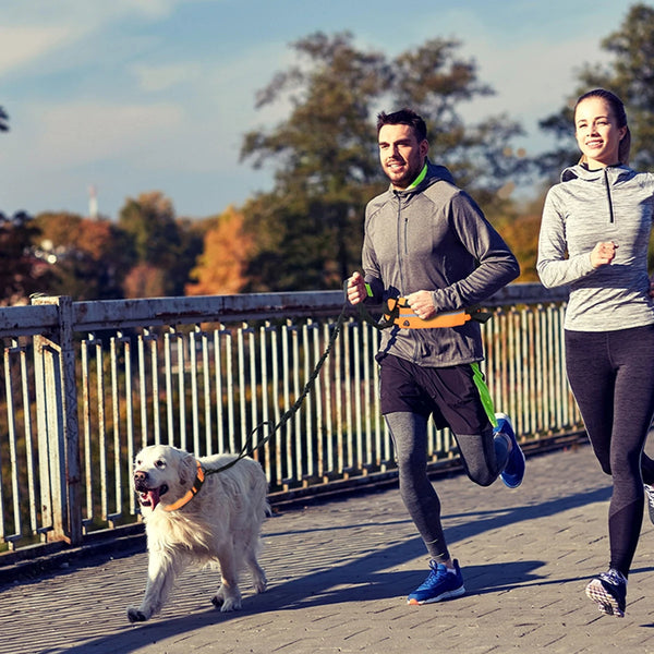 NightGuard Hands-Free Leash